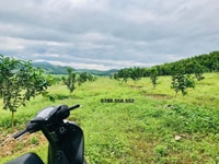 Bán trang trại 21.000m2 có sẵn vườn hệ thống tưới tiêu giá cực rẻ Bán trang trại 21.000m2 có sẵn vườn hệ thống tưới tiêu giá cực rẻ