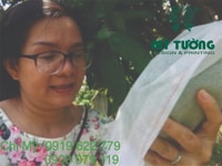 Túi vải không dệt bọc trái cây Mỹ Tường Túi vải không dệt bọc trái cây Mỹ Tường