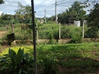 Bán nhà thôn 2 xã Ea Kao, Buôn Ma Thuột giá chỉ với 1,32 tỷ Bán nhà thôn 2 xã Ea Kao, Buôn Ma Thuột giá chỉ với 1,32 tỷ
