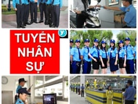 Tuyển 50 Nam/Nữ Trực Camera-Quẹt thẻ Bao ăn ở- ko thu phí Tuyển 50 Nam/Nữ Trực Camera-Quẹt thẻ Bao ăn ở- ko thu phí