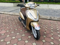Honda Lead 125 màu vàng đồng chính chủ 2018 Honda Lead 125 màu vàng đồng chính chủ 2018