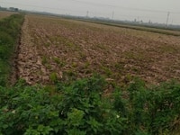 Cần chuyển nhượng 65 Ha sát KĐT Bắc An Khánh, giá thỏa thuận Cần chuyển nhượng 65 Ha sát KĐT Bắc An Khánh, giá thỏa thuận