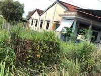 Cần tiền bán lô đất Hương Lộ 11, x.Tân Quý Tây, Bình Chánh Cần tiền bán lô đất Hương Lộ 11, x.Tân Quý Tây, Bình Chánh