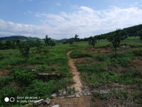 Bán vườn bưởi nằm gần trung tâm thị trấn Khánh Vĩnh. Diện tích 21636m2 Bán vườn bưởi nằm gần trung tâm thị trấn Khánh Vĩnh. Diện tích 21636m2
