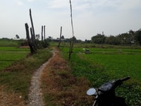 Đất trồng cây Hóc Môn, đường lớn thuận tiện giao thông Đất trồng cây Hóc Môn, đường lớn thuận tiện giao thông