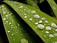 Tuyển dụng, tìm việc làm tại hà nội tuyển 50 bảo vệ nhà máy bao ăn ở Tuyển dụng, tìm việc làm tại hà nội tuyển 50 bảo vệ nhà máy bao ăn ở