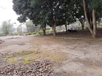 Đất nghỉ dưỡng đẹp cách ngã 3 ao vua 100m Đất nghỉ dưỡng đẹp cách ngã 3 ao vua 100m