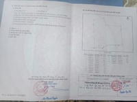 Bán mảnh đất nông nghiệp ngay xã Thạnh Nhựt, Gò công Tây,Tg Bán mảnh đất nông nghiệp ngay xã Thạnh Nhựt, Gò công Tây,Tg