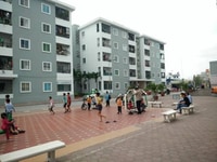 Cần bán căn chung cư Bắc Sơn diện tích 51m2, 2 phòng ngủ, còn 1 căn Cần bán căn chung cư Bắc Sơn diện tích 51m2, 2 phòng ngủ, còn 1 căn