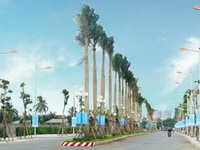 Sang nhanh 3 lô liền kề, đất MT Lê văn lương, PK Nhà bè, 900tr Sang nhanh 3 lô liền kề, đất MT Lê văn lương, PK Nhà bè, 900tr