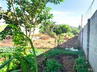 Bán Đất Thổ cư,5,7*22m-nở hậu 8m,có liền kề,hẻm Nguyễn Trường Tộ,giá r Bán Đất Thổ cư,5,7*22m-nở hậu 8m,có liền kề,hẻm Nguyễn Trường Tộ,giá r