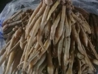 Cung cấp ngải bún giá sỉ 35k/1kg lá chanh thái 90k Cung cấp ngải bún giá sỉ 35k/1kg lá chanh thái 90k