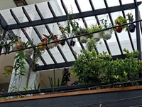 Bán nhà đẹp hẻm 9m phường Linh Tây