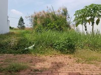Bán Lô 4x20m Đường số 12 KDC Thanh Yến , Nhựt Chánh , Long An Bán Lô 4x20m Đường số 12 KDC Thanh Yến , Nhựt Chánh , Long An