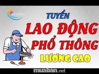Cần tuyển 02 nhân viên văn phòng Cần tuyển 02 nhân viên văn phòng
