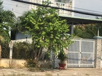 Bán nhà xây 1 lầu ,Dt120m2,SHR cc,chợ bình chánh Bán nhà xây 1 lầu ,Dt120m2,SHR cc,chợ bình chánh