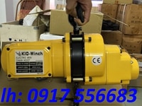Bán palăng xích điện đài loan tải trọng 500kg, 1 tấn dùng điện 1P 220v Bán palăng xích điện đài loan tải trọng 500kg, 1 tấn dùng điện 1P 220v