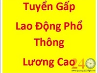Cần tuyển nhân viên lao động phổ thông bán hàng. Cần tuyển nhân viên lao động phổ thông bán hàng.