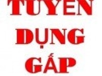 Công ty cần tuyển gấp lao động phổ thông. Công ty cần tuyển gấp lao động phổ thông.
