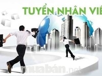 Công ty cần tuyển nhân viên thu ngân Công ty cần tuyển nhân viên thu ngân