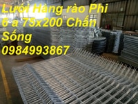 Lưới Thép hàng Rào phi 6 a 75x200 mạ kẽm nhúng nóng Lưới Thép hàng Rào phi 6 a 75x200 mạ kẽm nhúng nóng