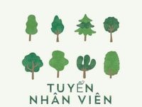 Cửa hàng tiện lợi tiêu dùng đang cần người phụ bán Cửa hàng tiện lợi tiêu dùng đang cần người phụ bán