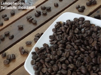 Cafe rang xay nguyên chất nguyên hạt giá sỉ Tp.Đà Lạt, Tỉnh Lâm Đồng Cafe rang xay nguyên chất nguyên hạt giá sỉ Tp.Đà Lạt, Tỉnh Lâm Đồng