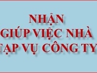 Nhận giúp việc nhà hoặc tạp vụ công ty theo giờ Nhận giúp việc nhà hoặc tạp vụ công ty theo giờ