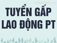 Tuyển gấp nam nữ bảo vệ tuần tra, kiểm soát an ninh chung cư, tòa nhà Tuyển gấp nam nữ bảo vệ tuần tra, kiểm soát an ninh chung cư, tòa nhà