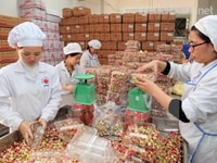 Cần tuyển nhân viên đóng gói bánh kẹo Cần tuyển nhân viên đóng gói bánh kẹo