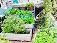 Bán gấp biệt thự Bình Trị Đông chỉ với 8.5 tỷ. Bán gấp biệt thự Bình Trị Đông chỉ với 8.5 tỷ.