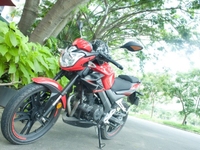 Moto REbel notus 125cc 2 máy bstp mới 95% nguyên zin Moto REbel notus 125cc 2 máy bstp mới 95% nguyên zin