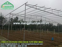 Màng nhà kính, lưới chắn côn trùng politiv israel Màng nhà kính, lưới chắn côn trùng politiv israel