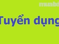 Cần tuyển gấp nhân viên thu ngân tại quầy Cần tuyển gấp nhân viên thu ngân tại quầy