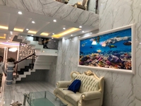 Giá tốt 8 tỷ/căn - Nhà phố Dương Quảng Hàm Gò Vấp, 5 tấm, DT 4,1x17m Giá tốt 8 tỷ/căn - Nhà phố Dương Quảng Hàm Gò Vấp, 5 tấm, DT 4,1x17m