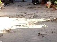 Bán nhà cách đường số 31 20m hẻm 4m vô nhà 3m 1 lầu 2pn Bán nhà cách đường số 31 20m hẻm 4m vô nhà 3m 1 lầu 2pn