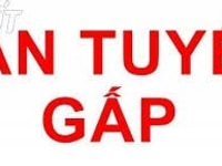 Cần gấp 3 nhân viên kinh doanh tại Gò Vấp Cần gấp 3 nhân viên kinh doanh tại Gò Vấp
