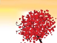 Nhận dạy kèm Corel, Photoshop, Illustrator, Autocad Tân Bình, Tân Phú, Nhận dạy kèm Corel, Photoshop, Illustrator, Autocad Tân Bình, Tân Phú,