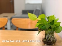Giỏ Hàng 2PN Cho Thuê Mường Thanh Giá Tốt Chỉ Từ 14-15 Triệu/Tháng Giỏ Hàng 2PN Cho Thuê Mường Thanh Giá Tốt Chỉ Từ 14-15 Triệu/Tháng