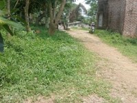 Cần bán gấp 5 hecta đất 50 năm tại xã Tản Lĩnh, Ba Vì, Hà Nội giá rẻ Cần bán gấp 5 hecta đất 50 năm tại xã Tản Lĩnh, Ba Vì, Hà Nội giá rẻ