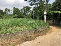 Cần bán 2 sào 727m2 đất nhà vườn tại Vân Hòa, Ba Vì, Hà Nội,giá 430 tr Cần bán 2 sào 727m2 đất nhà vườn tại Vân Hòa, Ba Vì, Hà Nội,giá 430 tr