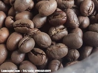 Cà phê Arabica Cầu Đất, Cà phê Robusta nông trường Buôn Mê giá sỉ Q.3 Cà phê Arabica Cầu Đất, Cà phê Robusta nông trường Buôn Mê giá sỉ Q.3