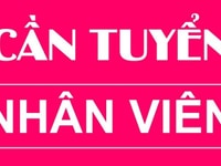 Nhân viên bán hàng nội thất không áp số đi làm ngay Nhân viên bán hàng nội thất không áp số đi làm ngay