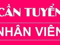 Việc làm cho những ai đang cần việc Việc làm cho những ai đang cần việc