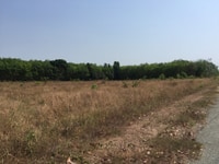 Bán 19.000m2 đất xây xưởng Phước Hòa, Phú Giáo giá 12 tỷ. Bán 19.000m2 đất xây xưởng Phước Hòa, Phú Giáo giá 12 tỷ.