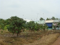 Đất xây dựng kho bãy diện tích lớn cần bán SHR, Đất xây dựng kho bãy diện tích lớn cần bán SHR,