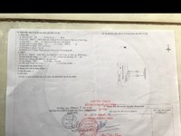 Nhà cấp 4 đường 5.5m trần lựu khu hòa xuân dân cư đông nhà mát mẻ Nhà cấp 4 đường 5.5m trần lựu khu hòa xuân dân cư đông nhà mát mẻ