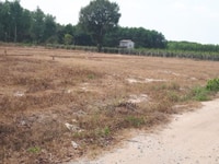 Cần bán đất chính chủ giá rẻ-Ngay khu dân cư-An ninh tốt Cần bán đất chính chủ giá rẻ-Ngay khu dân cư-An ninh tốt