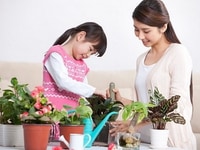 Gia đình chúng tôi tìm 2 nữ gvn, 1 nữ giữ trẻ, 1 nữ chăm bà 8tr/tháng Gia đình chúng tôi tìm 2 nữ gvn, 1 nữ giữ trẻ, 1 nữ chăm bà 8tr/tháng
