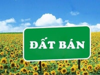 Bán đất diện tích 183m2. Liên hệ ngay Bán đất diện tích 183m2. Liên hệ ngay